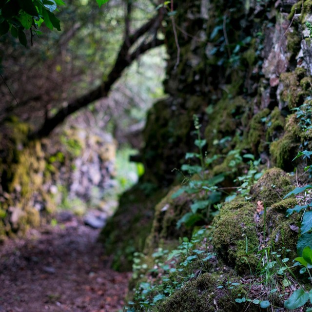 Serra da Lousã